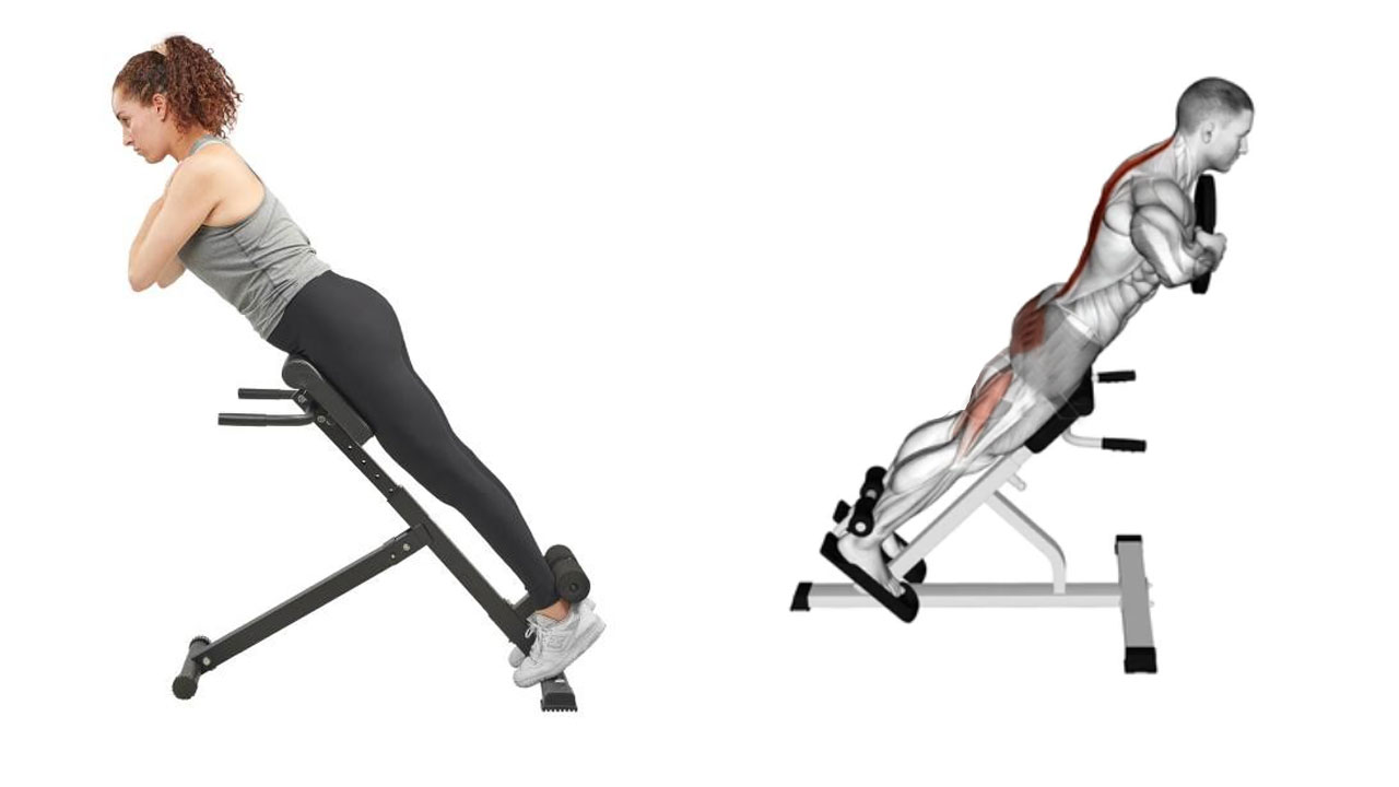 Hiperekstenzija na klupi za jačanje donjih leđa i prevenciju bola u kičmi